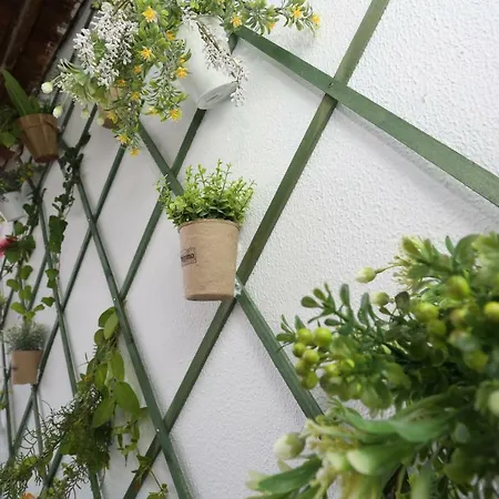 Elia Apartment
