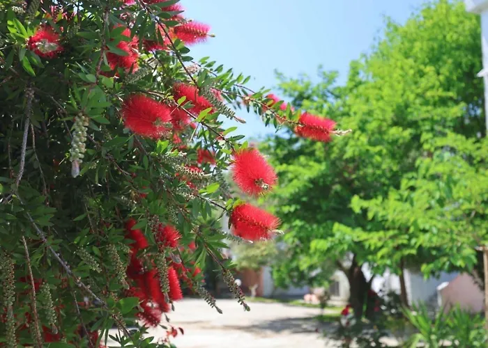 Elia Skála Foúrkas